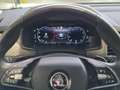 Skoda Kodiaq Style TDI DSG Blau - thumbnail 9