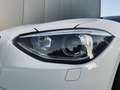 BMW 120 120d Sport Line - thumbnail 18