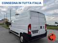 Fiat Ducato 2.3 MJT 150 CV MAXI 35(PL-TM L3H2)SENSORI-FURGONE- Bianco - thumbnail 5