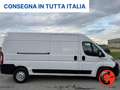 Fiat Ducato 2.3 MJT 150 CV MAXI 35(PL-TM L3H2)SENSORI-FURGONE- Bianco - thumbnail 3