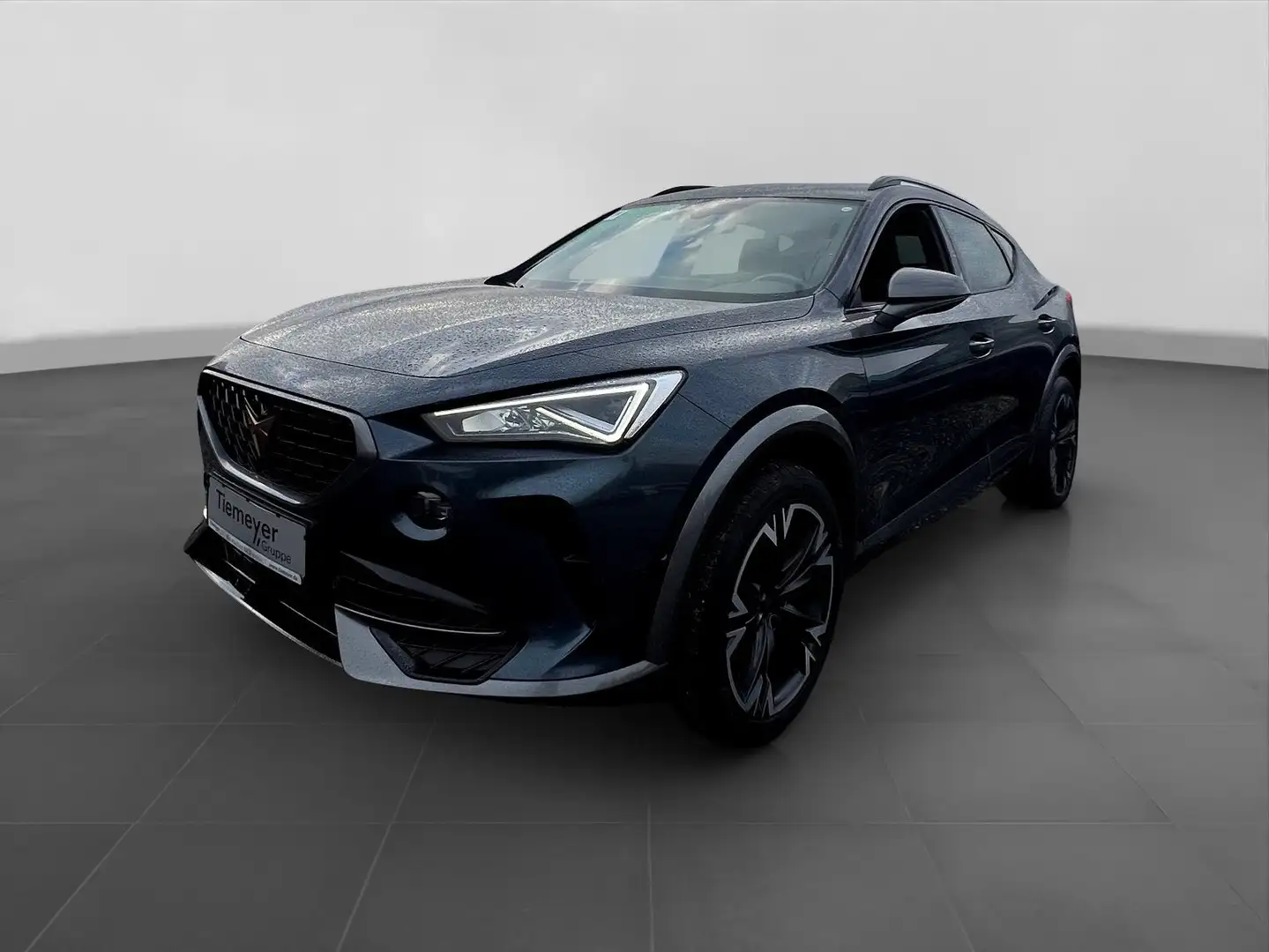 CUPRA Formentor 2.0 TDI 4D BEATS AHK eKLAPPE KAMERA Grau - 2