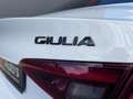 Alfa Romeo Giulia 2.0 T Veloce AWD Navi | Clima | Panodak Wit - thumbnail 14