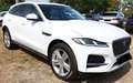 Jaguar F-Pace 2.0 204 CV AWD aut. SE Bianco - thumbnail 5