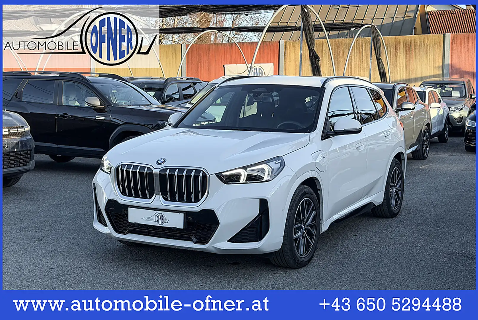 BMW X1 xDrive25e Aut. M-Sport AHK Sitz&Lenkradheizung ... Weiß - 1