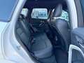 BMW X1 xDrive25e Aut. M-Sport AHK Sitz&Lenkradheizung ... Weiß - thumbnail 10