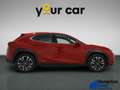 Lexus UX 250h Premium 2WD Rojo - thumbnail 6