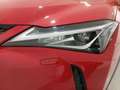 Lexus UX 250h Premium 2WD Rojo - thumbnail 18