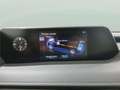 Lexus UX 250h Premium 2WD Rojo - thumbnail 14