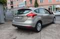 Ford Focus Lim. Trend 1.0 EcoBoost/Sitzhzg/Garantie/ Gris - thumbnail 5