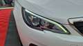Peugeot 308 bluehdi 130ch ss bvm6 active business Blanc - thumbnail 33