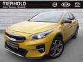 Kia XCeed 1,6 Plug-in Platinum Panorama ACC BLIS Gelb - thumbnail 2