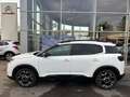 Citroen C5 Aircross C-Series 360 Kamera Allwetterreifen Mehrzonenklima Blanc - thumbnail 3