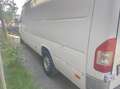 Mercedes-Benz Sprinter 312 D 903.472 - thumbnail 3