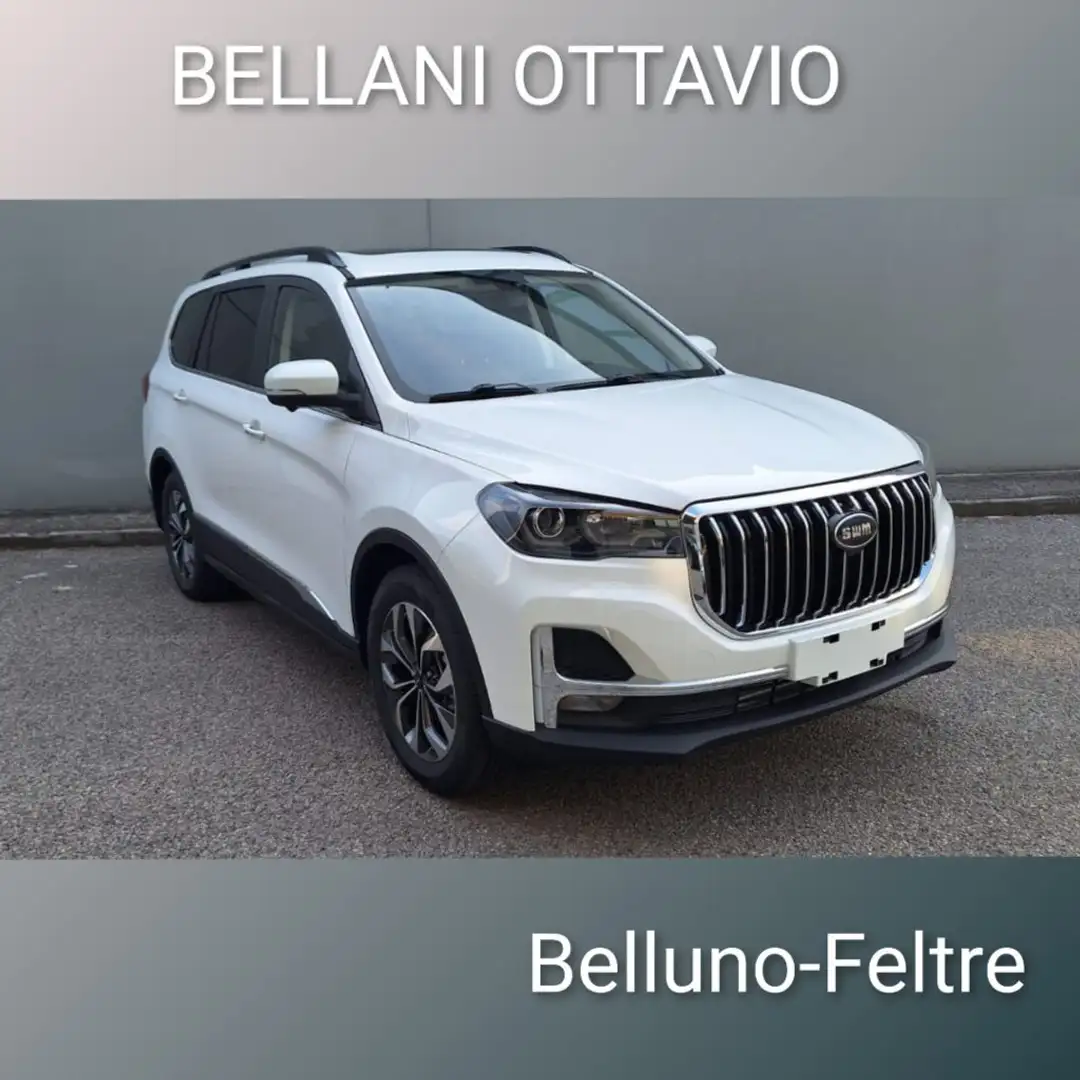 SWM G05 1.5 CAMBIO MANUALE Blanco - 1