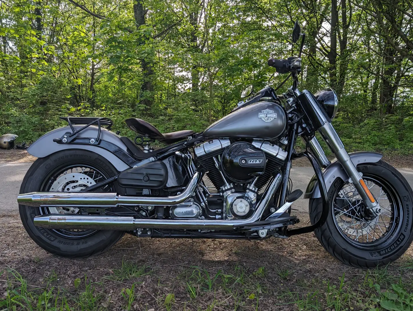 Harley-Davidson Softail Slim siva - 1