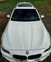 BMW 530 530 d xDrive Weiß - thumbnail 1