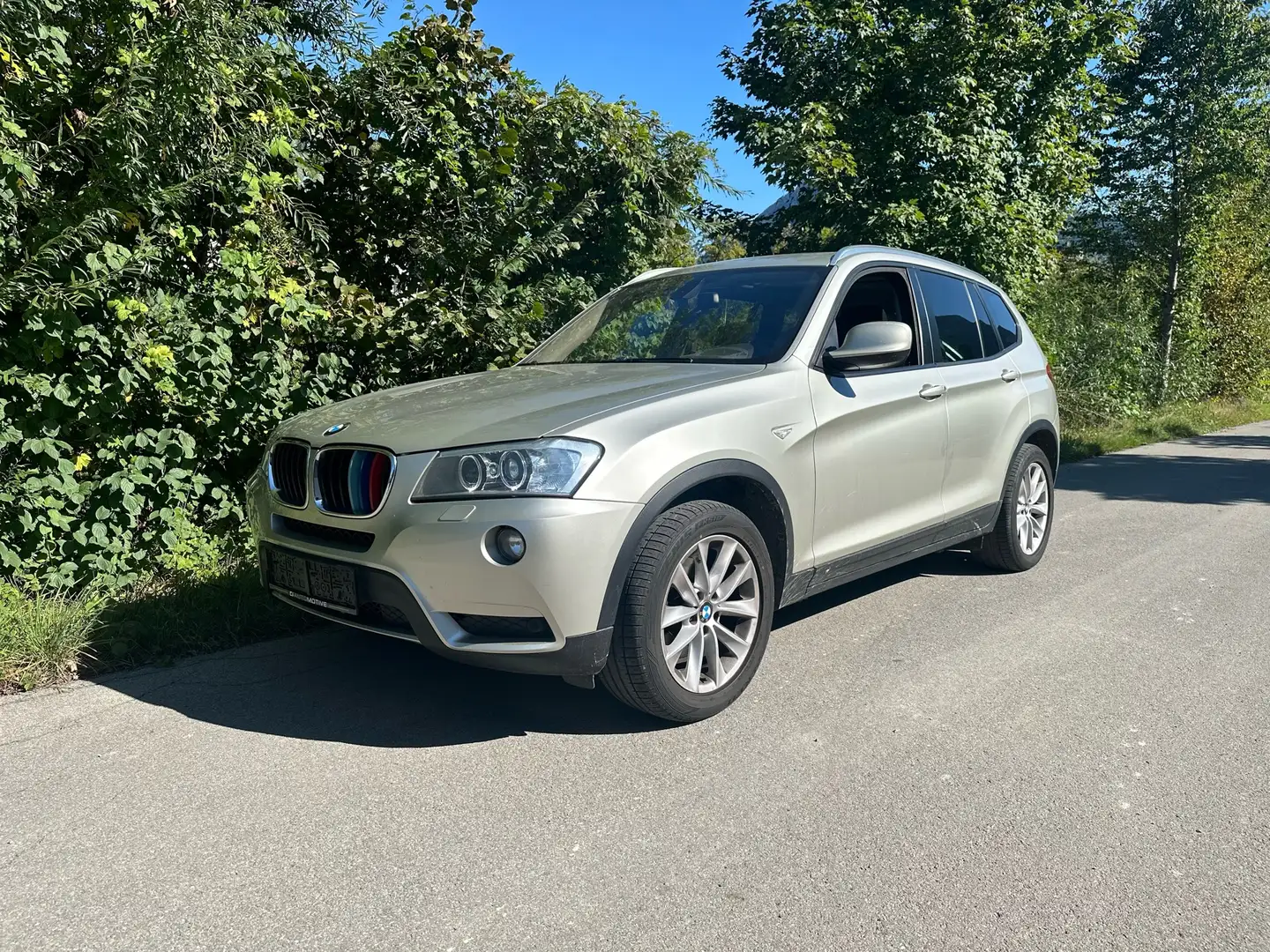 BMW X3 Panoramadach / HUD Бронзовий - 1