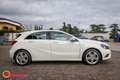 Mercedes-Benz A 180 CDI Executive Blanc - thumbnail 6