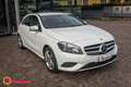 Mercedes-Benz A 180 CDI Executive Bianco - thumbnail 7