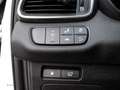 Kia Sorento GT-Line 4WD 2.2 CRDi EU6d-T 7-Sitzer HUD Panorama Weiß - thumbnail 11