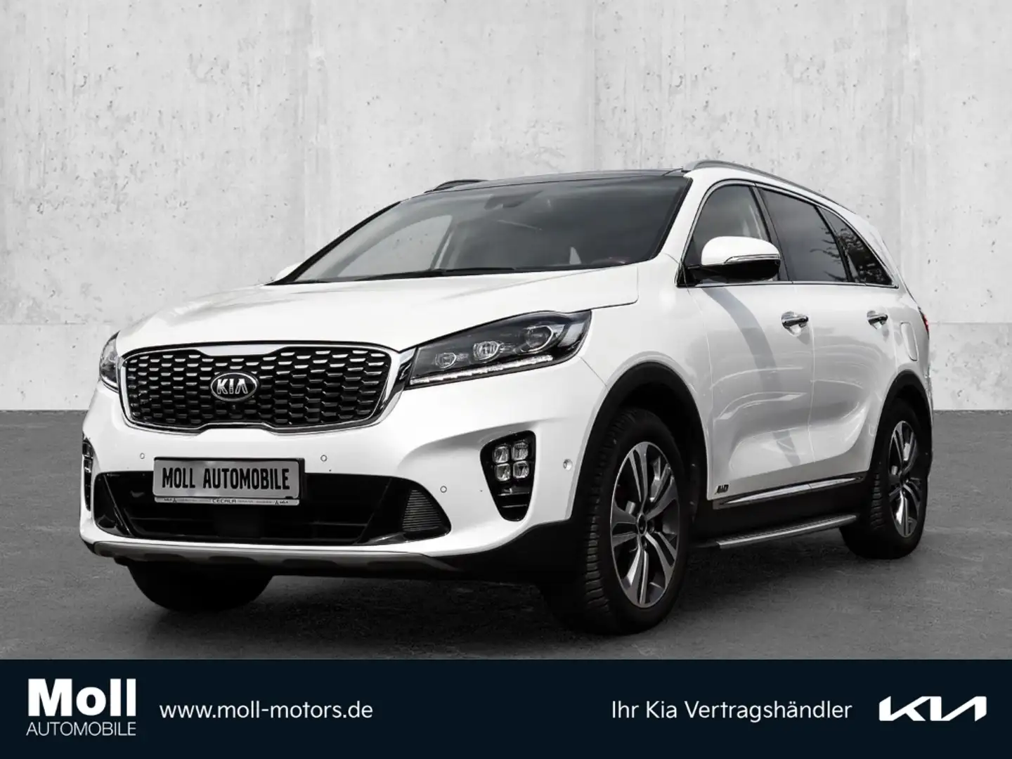 Kia Sorento GT-Line 4WD 2.2 CRDi EU6d-T 7-Sitzer HUD Panorama Weiß - 1