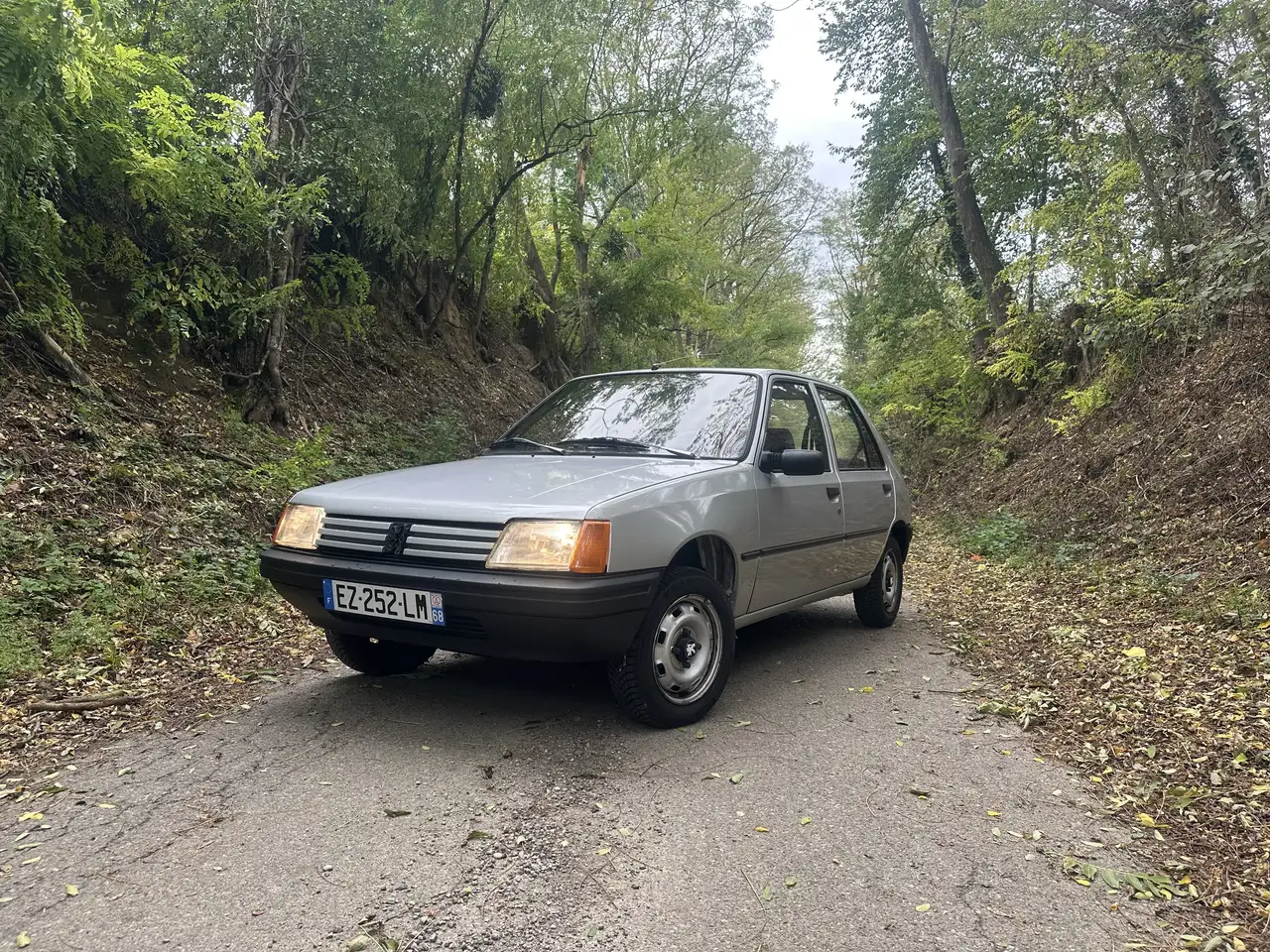 Peugeot 205