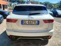 Jaguar E-Pace E-Pace 2.0d i4 R-Dynamic S awd 150cv auto my19 Wit - thumbnail 6