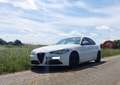 Alfa Romeo Giulia Giulia 2.0 Turbo 16V AT8-Q4 Ti Weiß - thumbnail 4