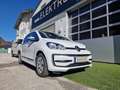 Volkswagen up! e-up 2. edition 36,8kWh Sondermodell gepflegt Weiß - thumbnail 9