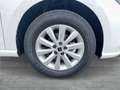 SEAT Ibiza Reference 1.0 TSI 95PS Weiß - thumbnail 23