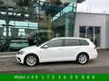 Volkswagen Golf VII R Line Sport Paket Kamera ACC Blanc - thumbnail 5