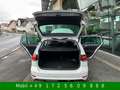 Volkswagen Golf VII R Line Sport Paket Kamera ACC Blanc - thumbnail 12