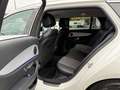 Mercedes-Benz E 220 d T Avant.*360°Kamera+ Memory+Park-Paket+AH Blanc - thumbnail 15