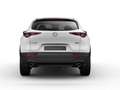 Mazda CX-30 Homura 2.0L e-SKYACTIVE X 186 🔥Summer Deal🔥 Weiß - thumbnail 4