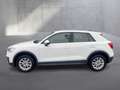 Audi Q2 30 TFSI intense Weiß - thumbnail 2