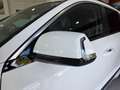 Kia Niro 1.6 HEV Emotion Blanco - thumbnail 14