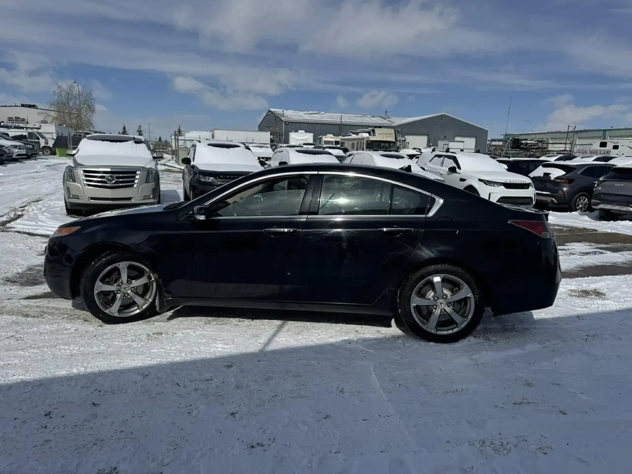 Acura TL fotografie Acura TL