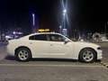 Dodge Charger 3.6L v6 custom seats GPL LPG, VAT after servcie - thumbnail 2