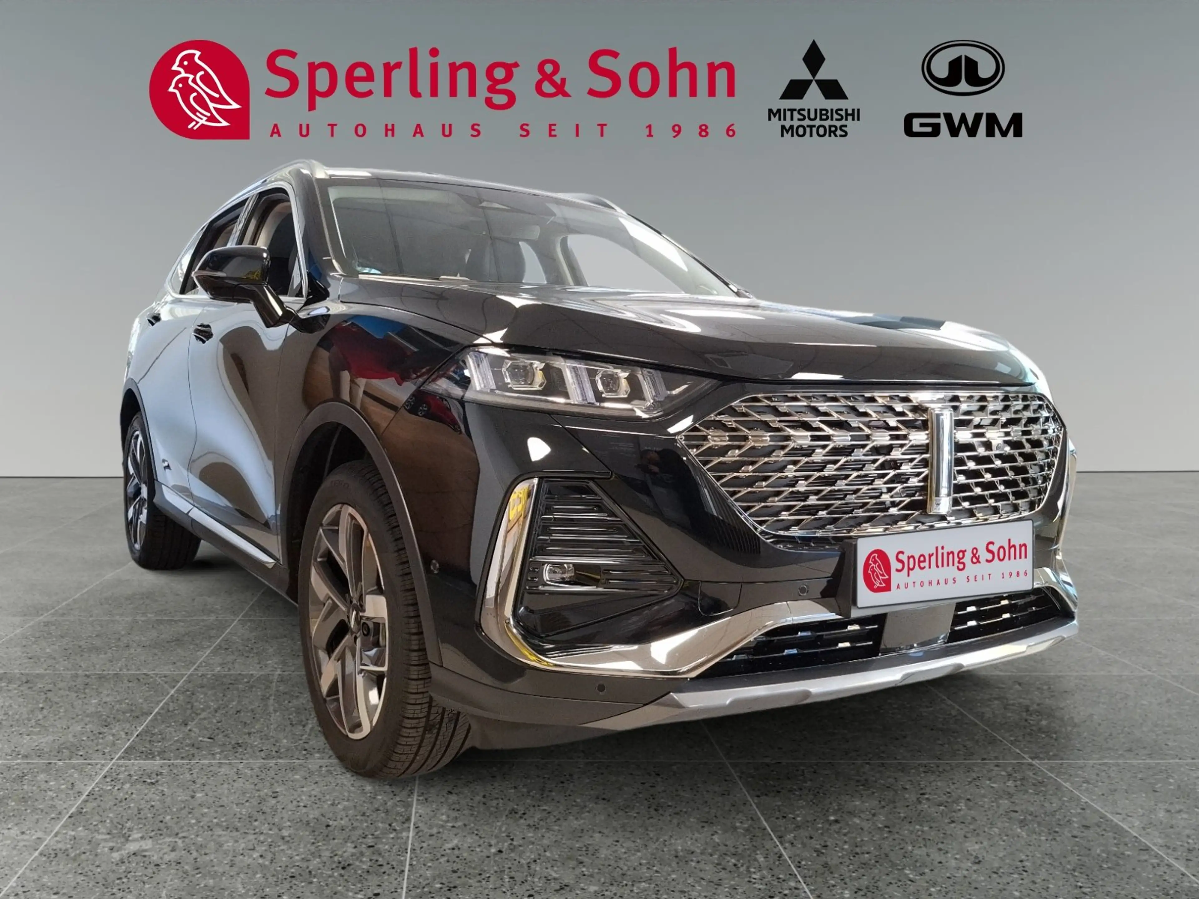 GWM WEY 03 AWD Luxury 2WD Winter- und Sitzkomfortpaket — photo 8