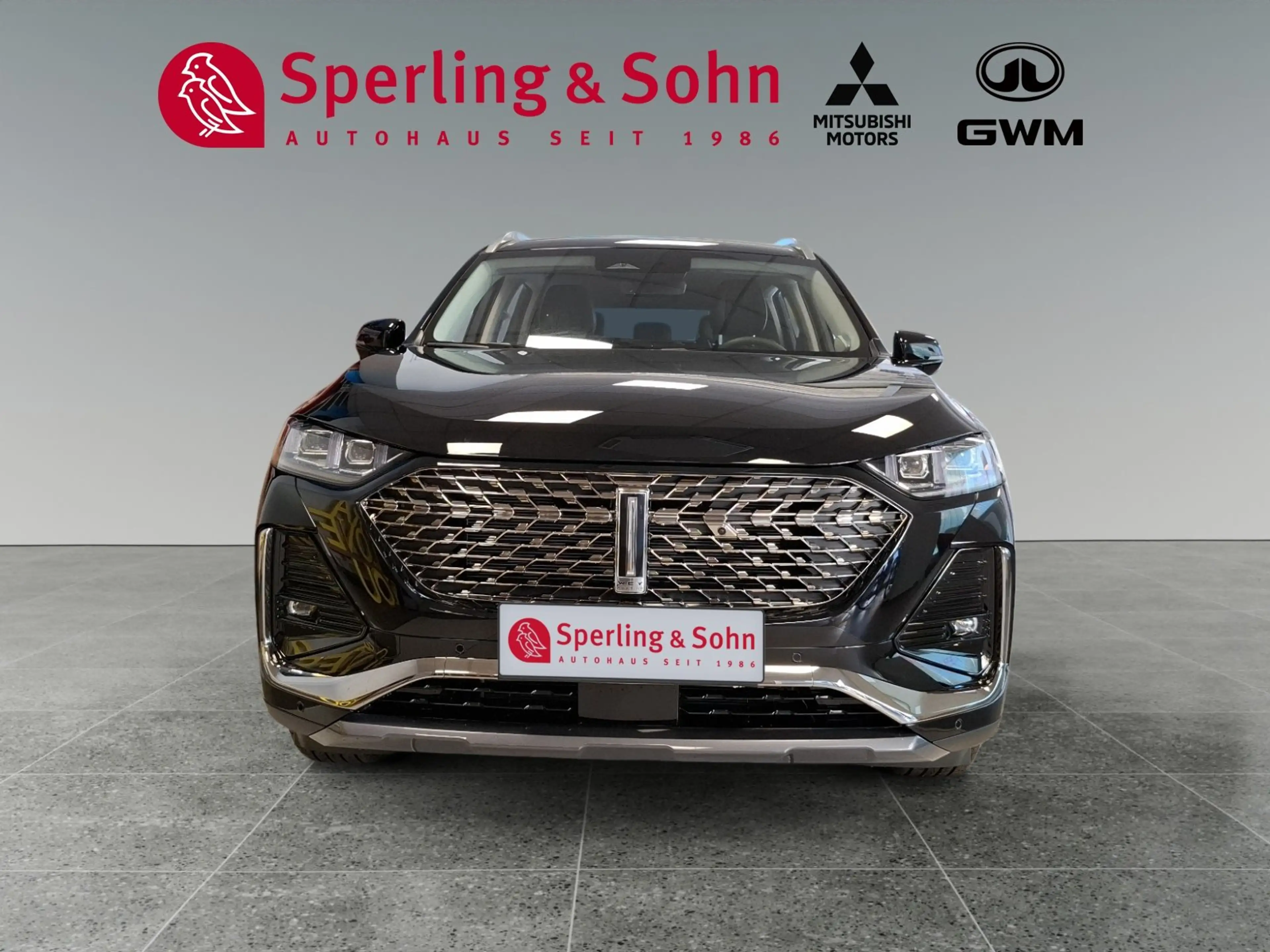 GWM WEY 03 AWD Luxury 2WD Winter- und Sitzkomfortpaket — photo 9