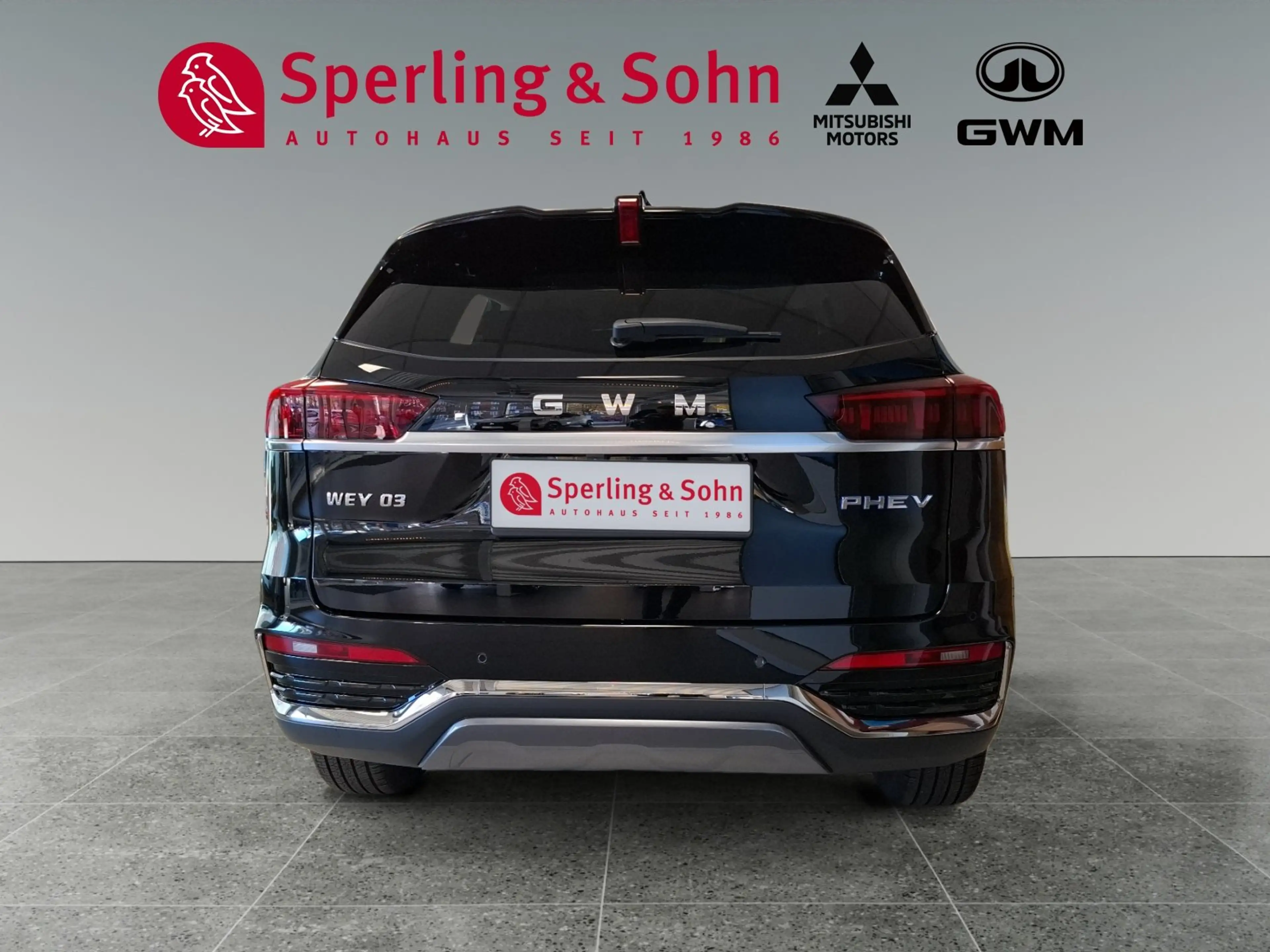 GWM WEY 03 AWD Luxury 2WD Winter- und Sitzkomfortpaket — photo 5