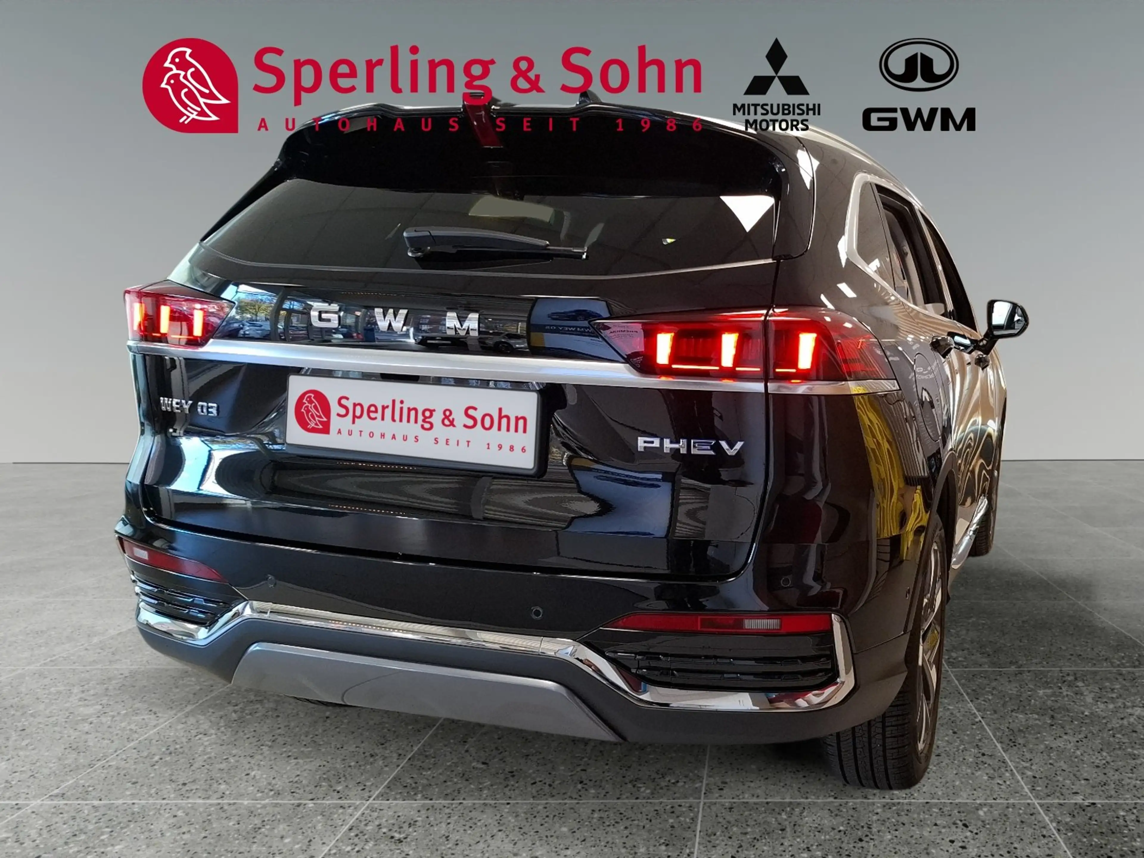 GWM WEY 03 AWD Luxury 2WD Winter- und Sitzkomfortpaket — photo 6