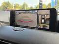 Mazda CX-60 2.5L e-SKYACTIV PHEV 327PS AWD Homura Plus Weiß - thumbnail 6
