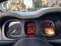 Fiat Panda 1.2 Lounge 69cv E6 70.000KM | NEOPATENTATI!!! Blanco - thumbnail 13