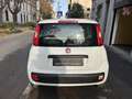 Fiat Panda 1.2 Lounge 69cv E6 70.000KM | NEOPATENTATI!!! Blanco - thumbnail 5