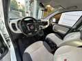Fiat Panda 1.2 Lounge 69cv E6 70.000KM | NEOPATENTATI!!! Blanco - thumbnail 7