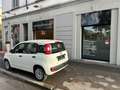 Fiat Panda 1.2 Lounge 69cv E6 70.000KM | NEOPATENTATI!!! Blanco - thumbnail 6