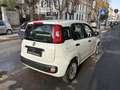 Fiat Panda 1.2 Lounge 69cv E6 70.000KM | NEOPATENTATI!!! Blanco - thumbnail 4