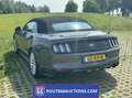 Ford Mustang Cabriolet | Route 66 Auctions Grijs - thumbnail 7
