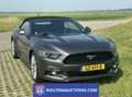 Ford Mustang Cabriolet | Route 66 Auctions Grijs - thumbnail 6